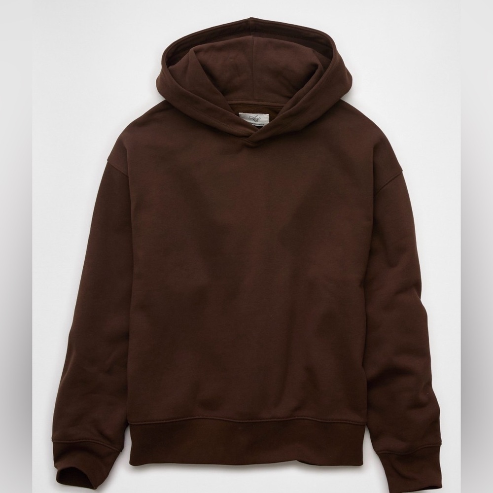 AE Everyday Luxe Hoodie Large| chocolate